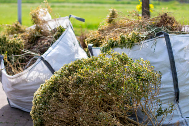 Trusted Waukee, IA Junk Removal Experts