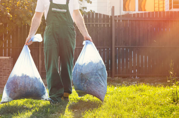 Best Electronics Removal Services  in Waukee, IA